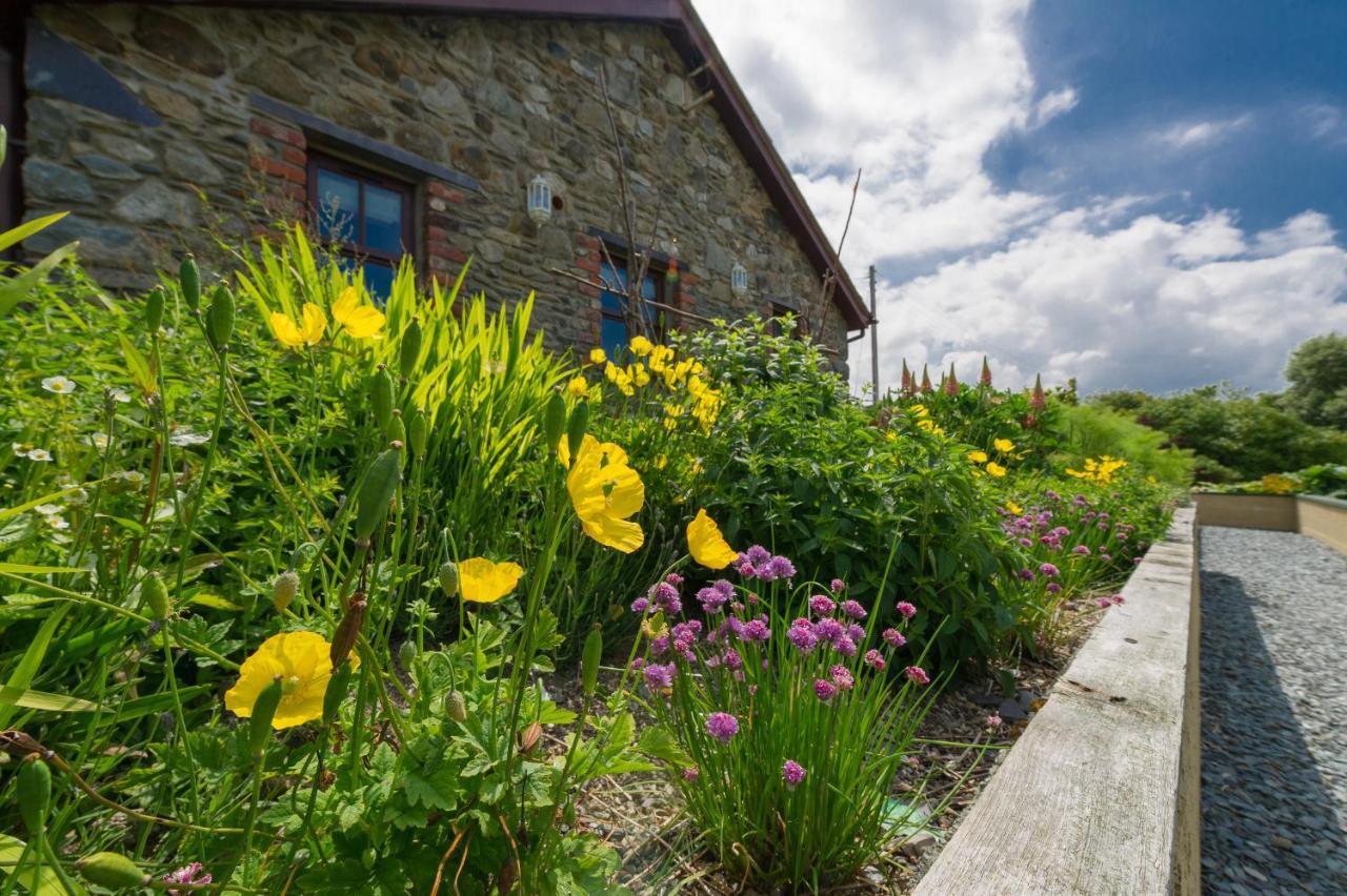 كارنارفون Tyn Rhos Country House المظهر الخارجي الصورة